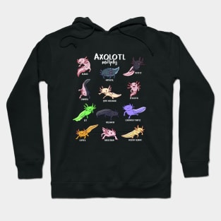 Different Kawaii Axolotl Types Hoodie